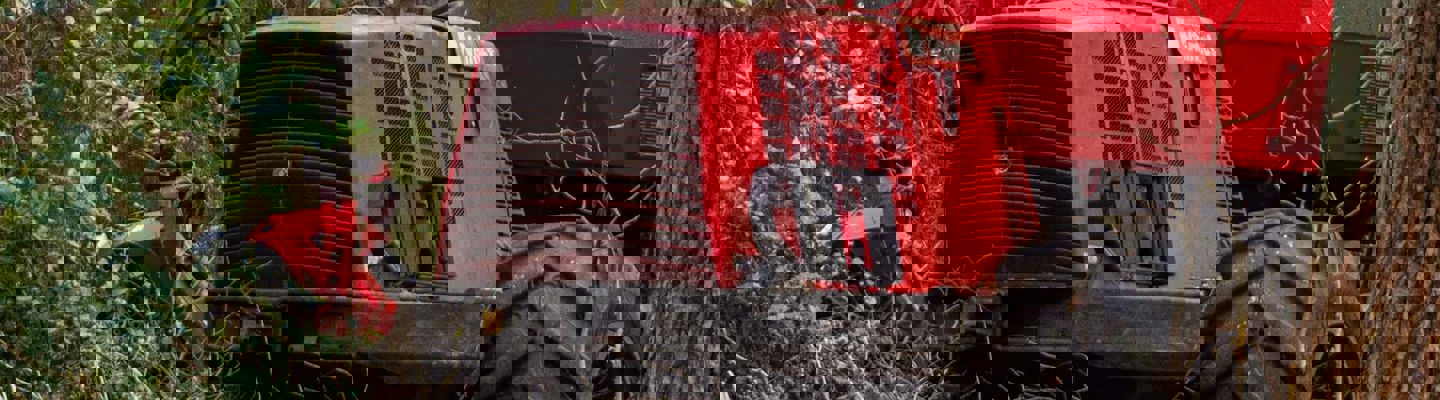 Wim Van T Einde Nb7te7ac0lk Unsplash (1)